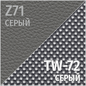 Комбинированный Z71/TW-72 (серый)