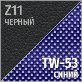 Комбинированный Z11/TW-53 (черный/синий)